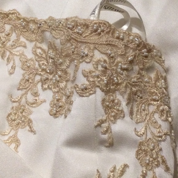 David’s Bridal Ivory & Champagne with lace and sequins 16w - Picture 9 of 13